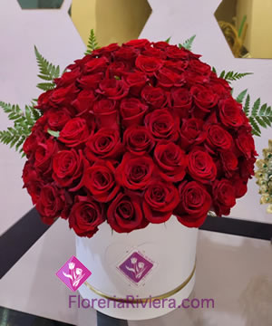 Flower deliveries Playa del Carmen portfolio photo 1