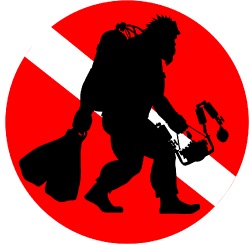 Profile Pic