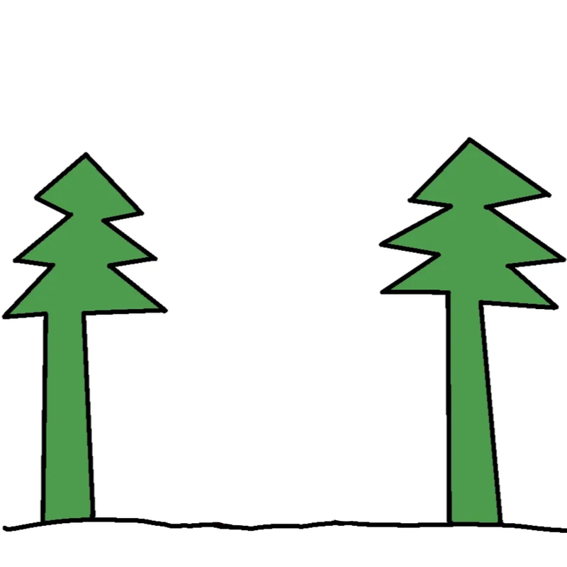 Ansicht von Wald