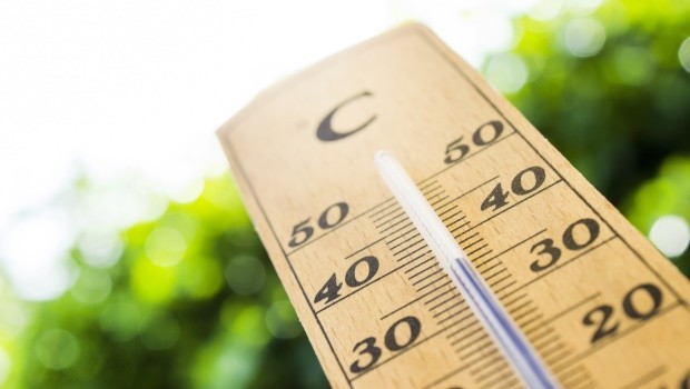 Arbeiten bei 36°C im Schatten