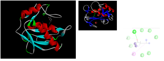 THE EVALUATION OF MOLECULAR DOCKING STUDIES
ON ABUTILON INDICUM FOR HEMORRHOIDS