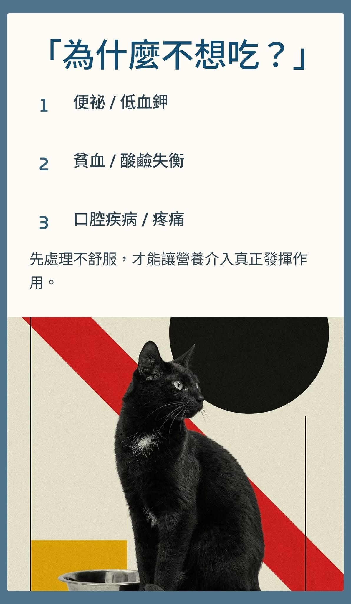 腎臟處方飲食不一定要一次百分之百轉換