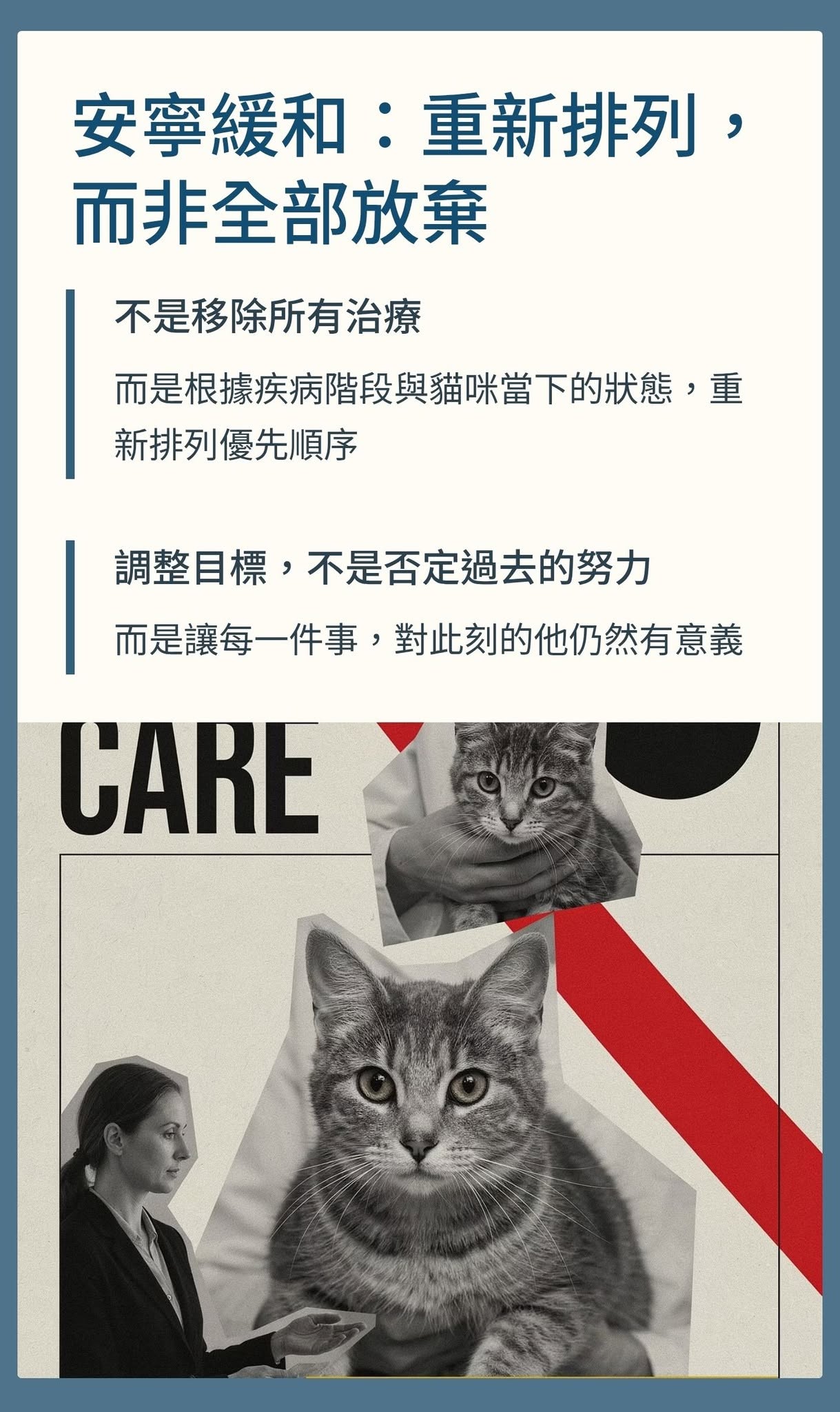 腎貓不吃時應先找出食慾下降的原因
