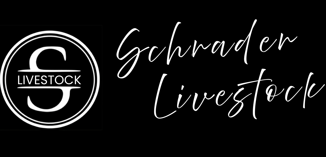 Schrader Livestock
