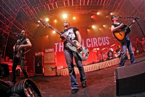 Il Male Summer Tour 2026 - The Zen Circus