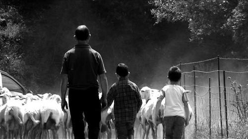 A chi appartiene la terra? Pastori, comunità, territorio