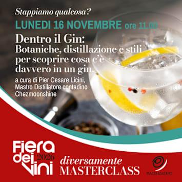 Dentro il Gin: Botaniche, distillazione e stili