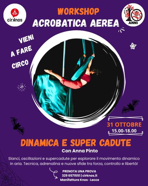 Workshop Acrobatica Aerea – Dinamica e Supercadute