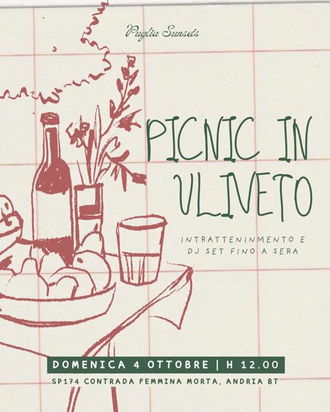 Picnic in Uliveto