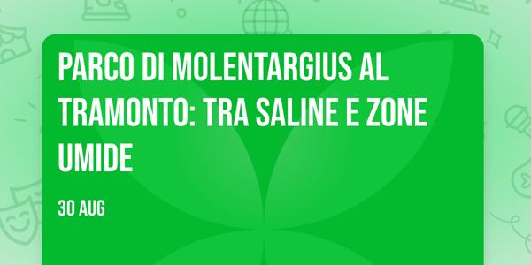 Parco di Molentargius al tramonto: tra saline e zone umide