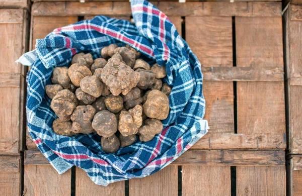 Festa del Tartufo Bianco