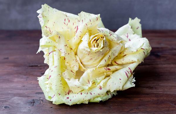 Festa del Radicchio variegato di Castelfranco IGP