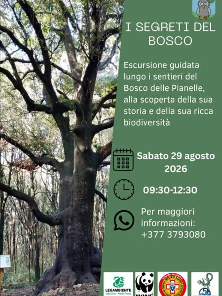I Segreti del Bosco