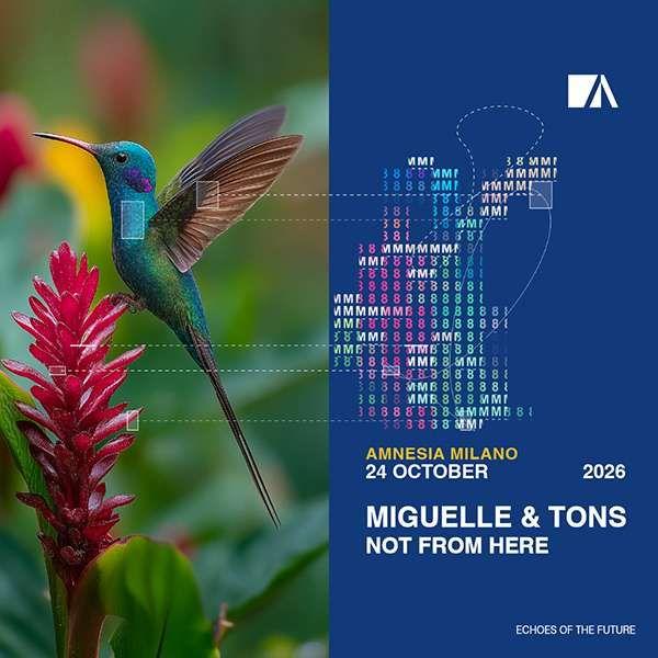 Miguelle & Tons - Not From Here
