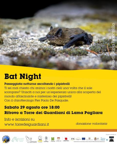 Bat Night