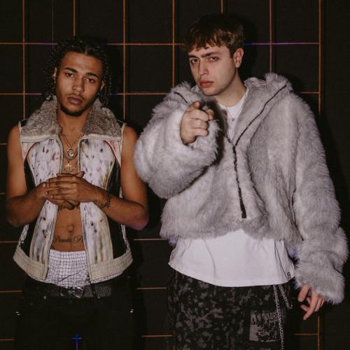 FLEXTONY and TIGERPLUG