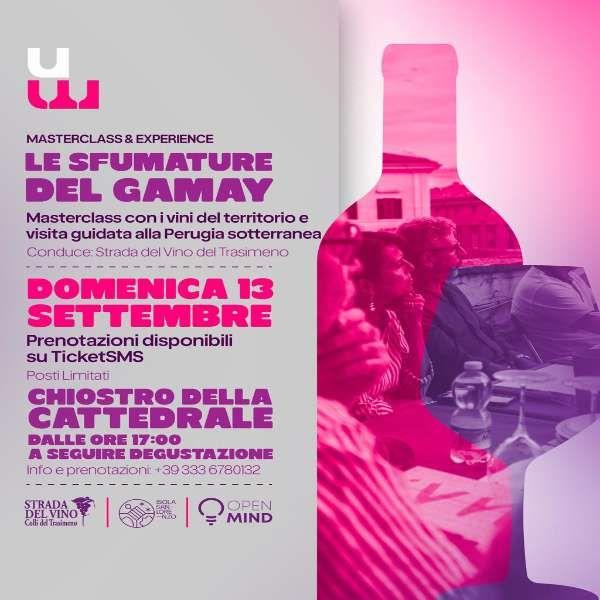 Le Sfumature del Gamay
