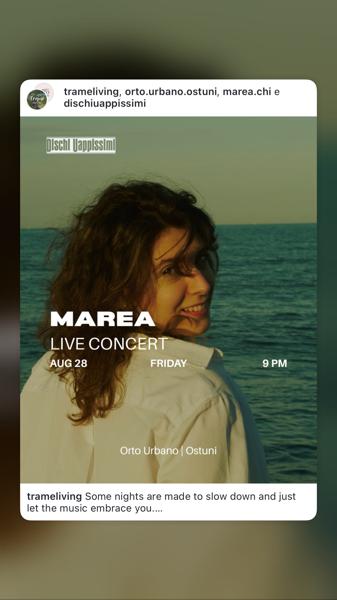 Marea Live Concert