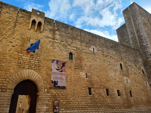 Domenica al Museo