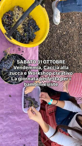 Vendemmia, Caccia alla zucca e Pittura