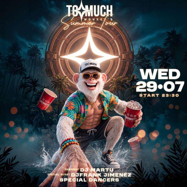 Too Much Summer Tour