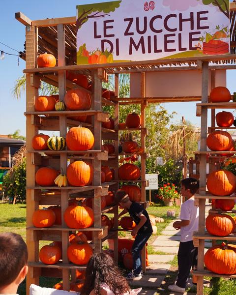 Le Zucche di Milele