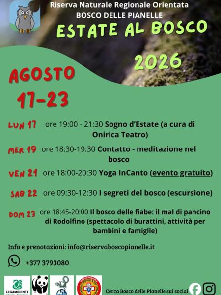 Contatto - meditazione nel bosco