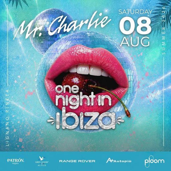 One Night in Ibiza