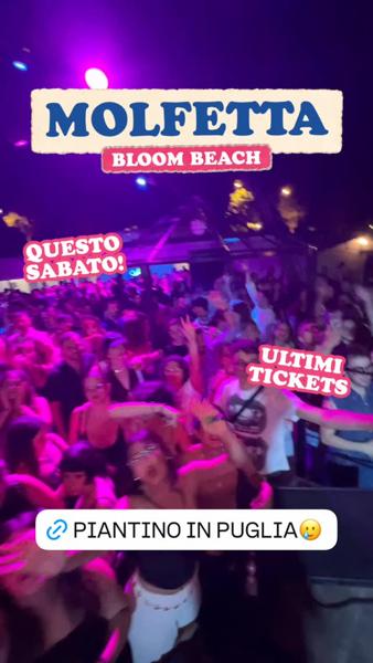 Bloom Beach