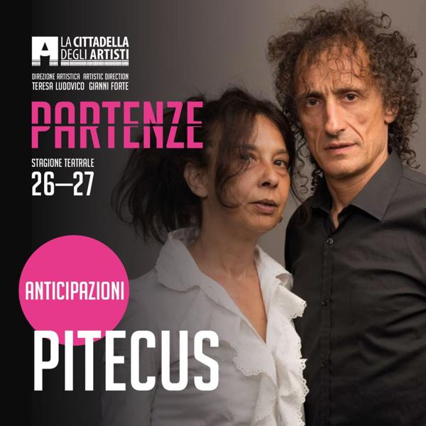 Pitecus