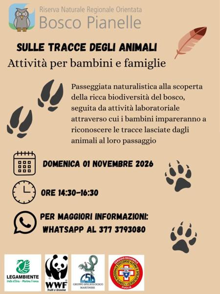 Sulle tracce degli animali