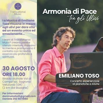 Emiliano Toso - Armonia di Pace tra gli Ulivi