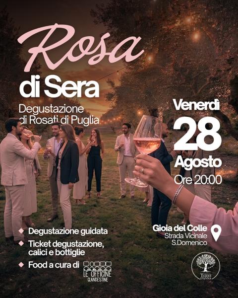 Rosa di Sera