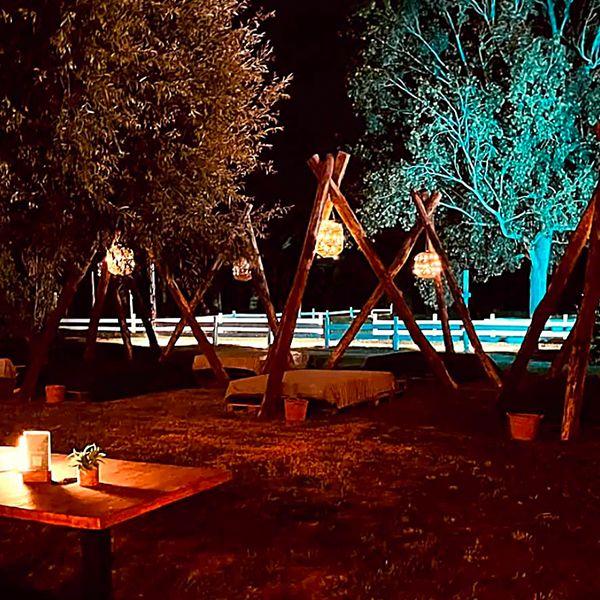 Ferragosto Circense