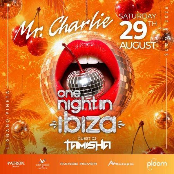 One Night in Ibiza