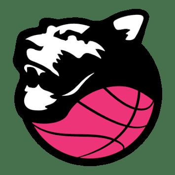 People Strategy Panthers Roseto - GEAS Sesto S. Giovanni