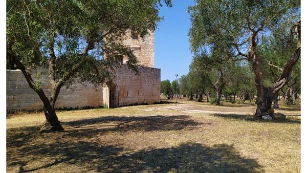 Alla scoperta di Balsignano - architettura, affreschi e natura