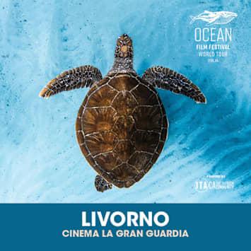 Ocean Film Festival World Tour Italia 2026