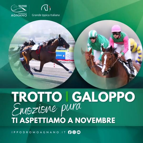 Corse di trotto all'Ippodromo di Agnano