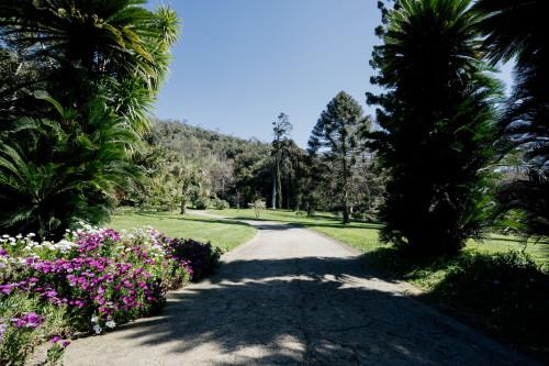 La magia del Giardino Inglese. Metamorfosi d’autunno tra natura, simboli e mistero