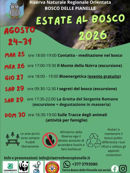 Contatto - meditazione nel bosco