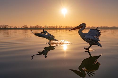 Photofest Immagini sul Lago 2026
