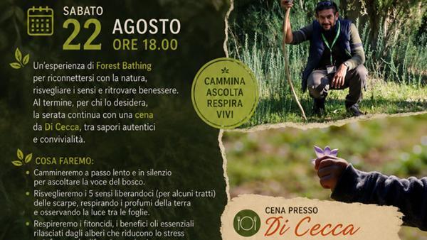 Il respiro del bosco