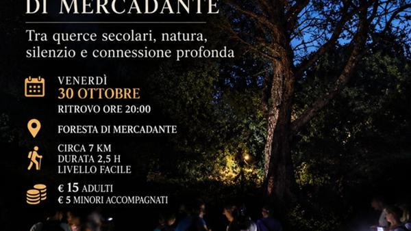 Trekking notturno nella foresta tra querce secolari
