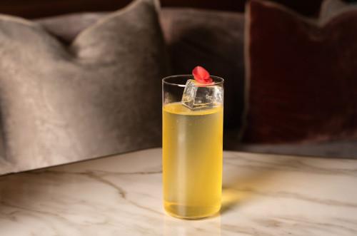 Gin & Tonic Festival