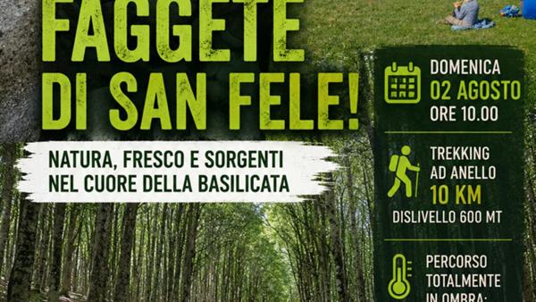 Faggete di San Fele