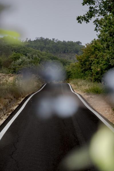 Linea Sud: paesaggio fotografico dopo il Duemila
