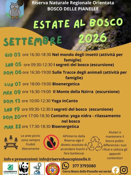 I segreti del bosco