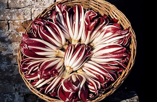 Festa del radicchio rosso