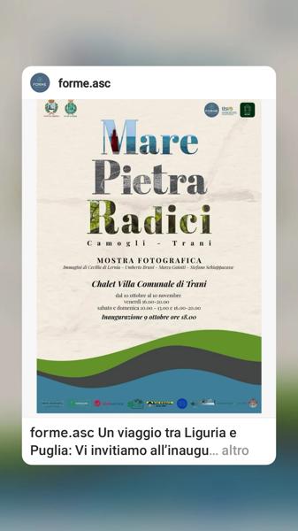 Mare Pietra Radici